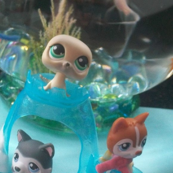 Littlest Pet Shop Winter Husky lot Accessory - Picture 2 of 3